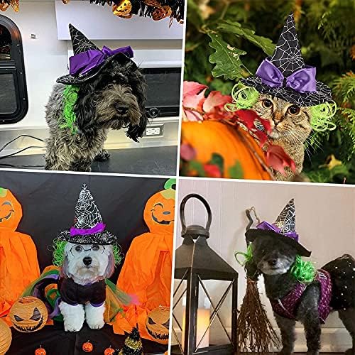 Uživanje u mački Halloween kostimu štenad vještica sa mačjim kostima Santa za mačju štene