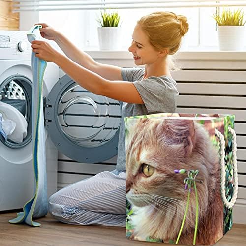 Inhomer mačka životinja velika korpa za veš vodootporna sklopiva korpa za veš za Organizator igračaka za odeću, kućni dekor za spavaću