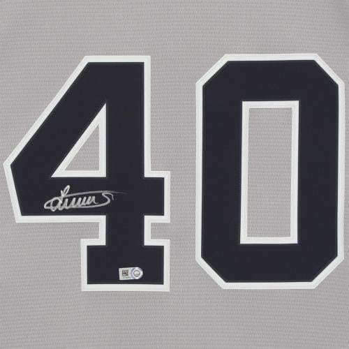 Luis Severino New York Yankees autografirani sivi Nike replika dres - autogramirani MLB dresovi